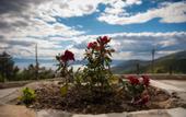 Туры в отель Pelion Goddess Villas