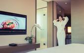 Туры в отель Pan Pacific Tianjin