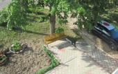Туры в отель Guest house Volna with a Russian bath