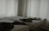 Туры в отель Belle Vues Hotel