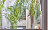 Туры в отель Slipway Hotel