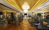 Туры в отель Al Habtoor Palace Hotel