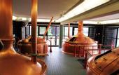 Туры в отель The Hoxton, Amsterdam