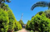 Туры в отель Alashara Guest House