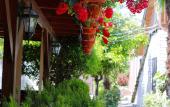 Туры в отель Alashara Guest House