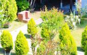 Туры в отель Alashara Guest House