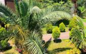 Туры в отель Alashara Guest House