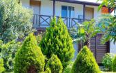 Туры в отель Alashara Guest House