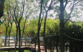 Туры в отель Teda, Tianjin-marriott Executive Apartments