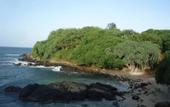 Туры в отель Blow Hole View Home Stay