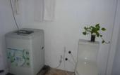 Туры в отель Blow Hole View Home Stay