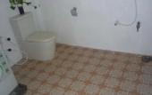 Туры в отель Blow Hole View Home Stay