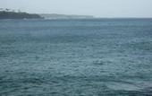 Туры в отель Blow Hole View Home Stay