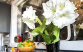 Туры в отель Rarity Suites