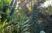 Туры в отель Aji Lodge Bungalow