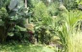 Туры в отель Aji Lodge Bungalow