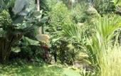 Туры в отель Aji Lodge Bungalow