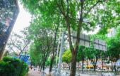 Туры в отель Dayhello International Hotel