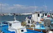 Туры в отель Alex Beach Apartment 31