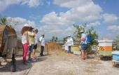 Туры в отель Tzionis Petroktisto Holiday Stonehouse