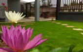Туры в отель Mondara Vacation Home