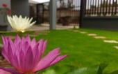 Туры в отель Mondara Vacation Home
