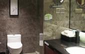 Туры в отель Wanyue Grand Skylight Hotel Shenzhen
