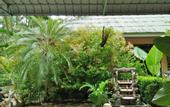 Туры в отель Khaolak Tusneem Resort