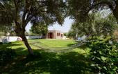 Туры в отель Athena Villas Olive Grove & Estate