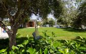 Туры в отель Athena Villas Olive Grove & Estate