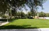 Туры в отель Athena Villas Olive Grove & Estate