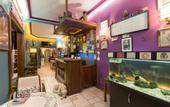 Туры в отель Cheers Hostel