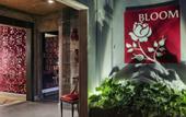 Туры в отель Bloom