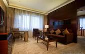 Туры в отель Millennium Hotel Chengdu