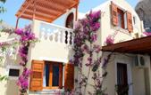 Туры в отель Villa Dima