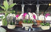 Туры в отель Diamond Bay Resort and Spa
