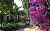 Туры в отель Diamond Bay Resort and Spa