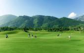 Туры в отель Diamond Bay Resort and Spa