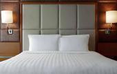 Туры в отель Pullman Shanghai Central-in XinTianDi & Yu Garden Area