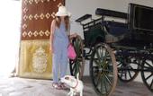 Туры в отель Las Casas de la Juderia de Cordoba