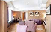 Туры в отель Ramada Plaza By Wyndham Istanbul City Center Hotel