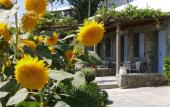 Туры в отель Panormos Village Hotel