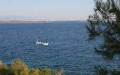 Туры в отель Dionysos Hotel