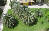 Туры в отель Apartamentos Plaza Picasso