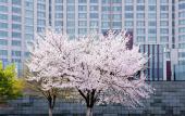 Туры в отель Kempinski Hotel Suzhou