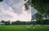 Туры в отель Kempinski Hotel Suzhou