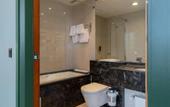 Туры в отель Shanghai Hotel Holland