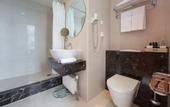 Туры в отель Shanghai Hotel Holland