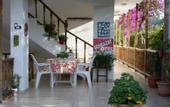 Туры в отель Sehrazat Hotel