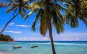 Туры в отель Sea Scene Resort
